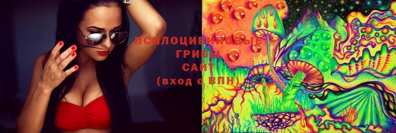 Псилоцибиновые грибы MAGIC MUSHROOMS  Барабинск 